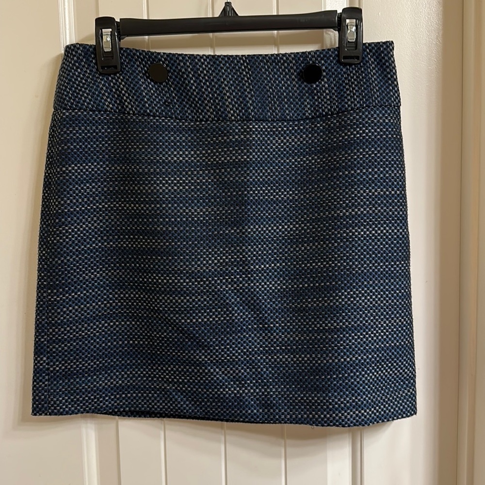 Ann Taylor LOFT Skirt